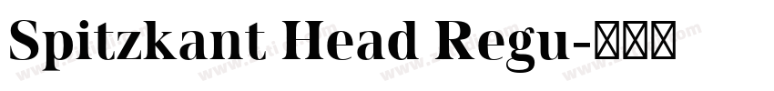 Spitzkant Head Regu字体转换 Spitzkant Head Regu字体转换